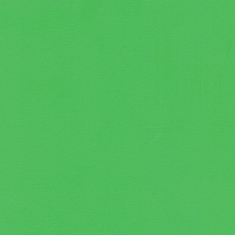 CS 01 : Grass Green