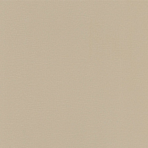 CS 07 : Taupe