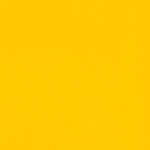 CS 08 : Mikado Yellow