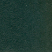 CS 14 : Bottle Green