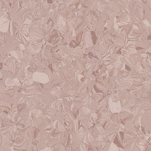 SPRQ 10 : Honey Cider