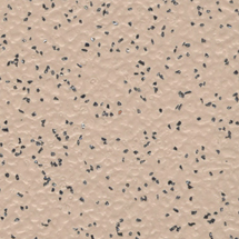 CPLUS 11: Peach Carnation