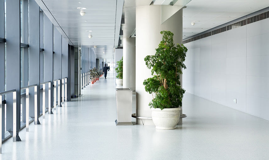 Wards & Rooms Flooring